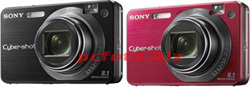 Sony W150