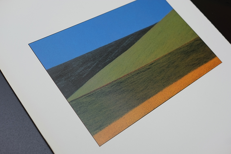 003 Franco fontana.jpg