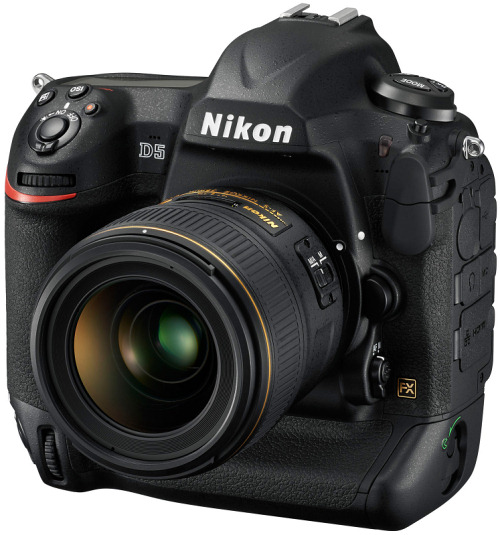 Nikon_D5.jpg