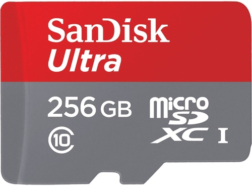 SanDisk_Micro_SD_256GB.jpg