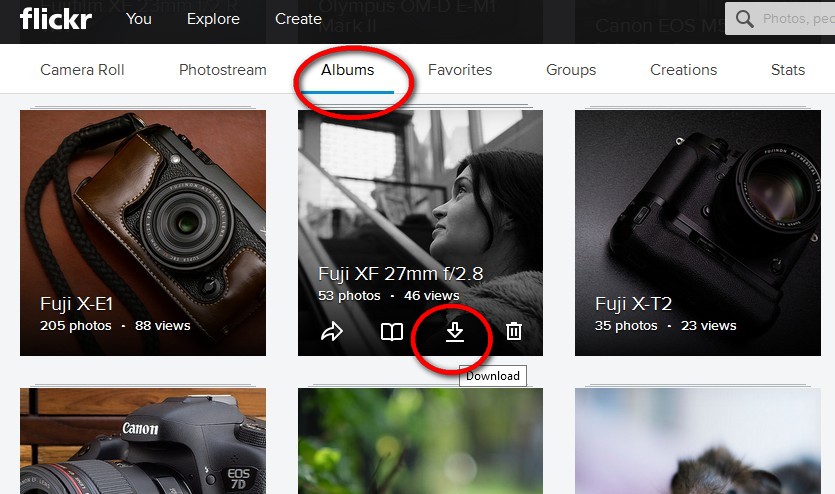 flickr download album.jpg