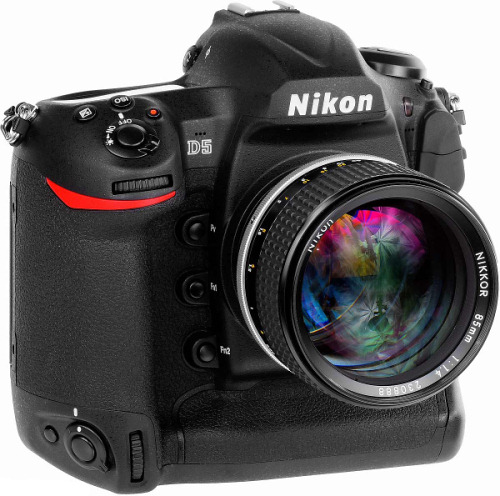 Nikon_D5.jpg