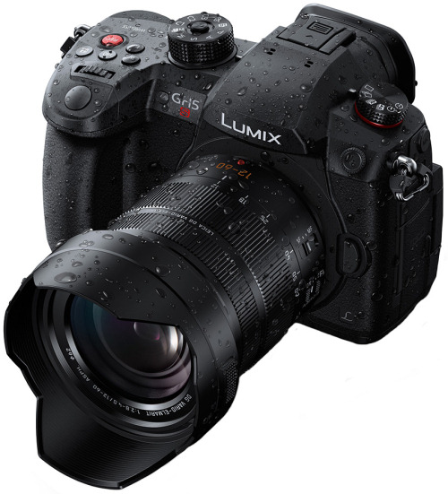 Panasonic_GH5S.jpg