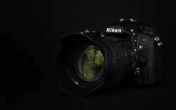 Nikon D7000