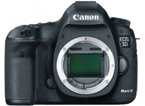 Canon EOS 5D Mark III 24-105 L4 IS