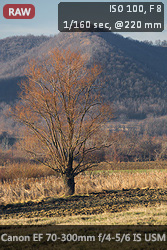 Galerija fotografija