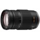 Panasonic G Vario 100-300mm f/4-5.6 Mega OIS