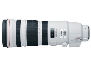 Canon EF 200-400mm f/4L IS USM Extender 1.4x