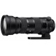 Sigma 150-600mm f/5-6.3 DG OS HSM Sports