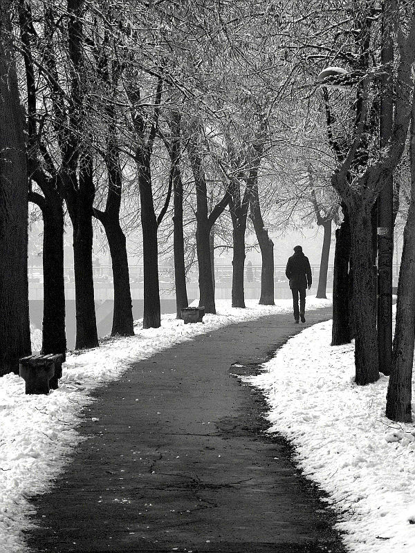 Blog Inspiracija -  Aleksandar Knežević Tviti