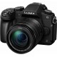 Panasonic DMC-G80 12-60