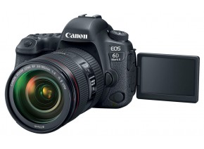 Canon EOS 6D Mark II 24-105 L4 IS II