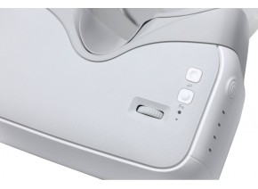 DJI Goggles