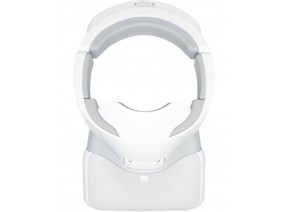 DJI Goggles