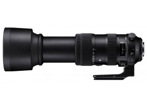 Sigma 60-600mm f/4.5-6.3 DG OS HSM Sports