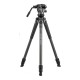 Vanguard Alta Pro 2V 263AVP