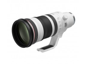 Canon RF 100-300mm f/2.8 L IS USM