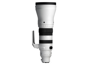 Sigma 300-600mm f/4 DG OS Sports Lens (Sony E)