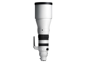 Sigma 300-600mm f/4 DG OS Sports Lens (Sony E)