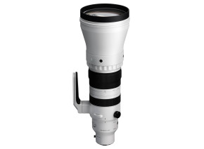 Sigma 300-600mm f/4 DG OS Sports Lens (Sony E)