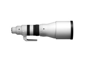 Sigma 300-600mm f/4 DG OS Sports Lens (Sony E)