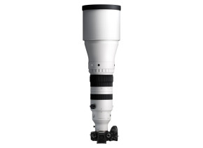 Sigma 300-600mm f/4 DG OS Sports Lens (Sony E)