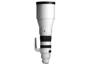 Sigma 300-600mm f/4 DG OS Sports Lens (L-Mount)
