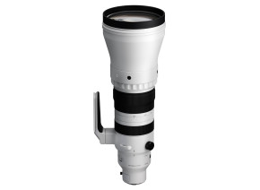 Sigma 300-600mm f/4 DG OS Sports Lens (L-Mount)