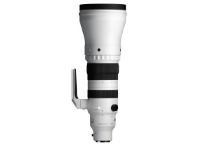 Sigma 300-600mm f/4 DG OS Sports Lens (L-Mount)