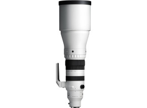 Sigma 300-600mm f/4 DG OS Sports Lens (L-Mount)