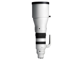 Sigma 300-600mm f/4 DG OS Sports Lens (L-Mount)