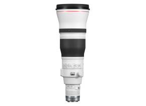 Canon RF 600mm f/4 L IS USM 