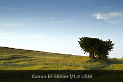 Canon EOS 7D galerija24